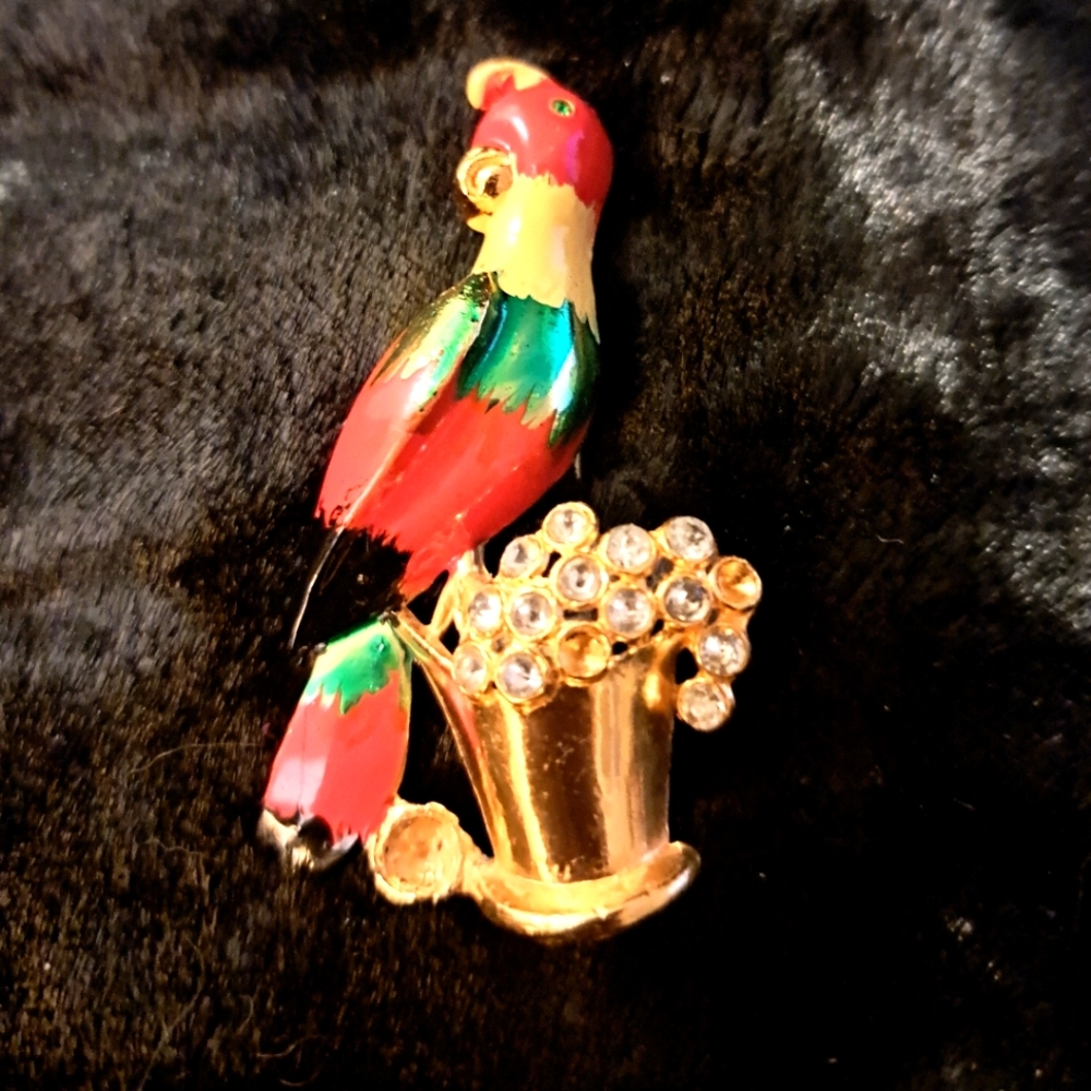 Colorful CORA  Parrot Brooch decoration.